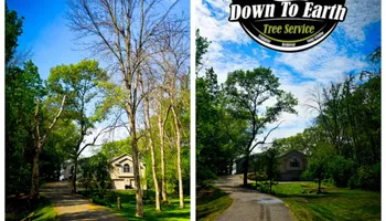 Tree Removal for Down To Earth Tree Service in Red Wing,  Minnesota