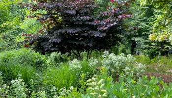 Erosion Control / Water Management for Christina King Landscape Design in West Raleigh, NC