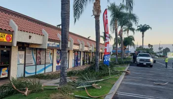 Property Maintenance for Best Lawncare in Colton, CA