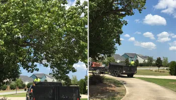 Tree Removal for Tucker's Tree Service and Stump Grinding in Lugoff, SC