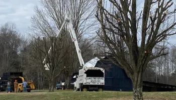 Tree Removal for Lance Tree Service in Tellico Plains ,  TN