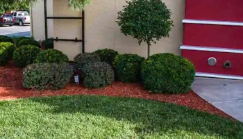 Lawn Maintenance for WD Lawn Services in Loganville, GA