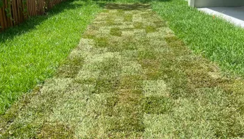 Mowing for Perfect MOs Landscaping  in Hudson, FL