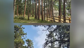 Tree Removal for Family Tree & Landscape LLC in Aurora, CO