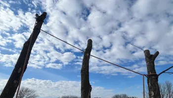 Snow Removal  for K and Z Tree Care in Isanti County, MN
