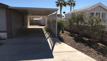 Fall and Spring Clean Up for Oliver L. Palm & Tree services in Yuma, AZ