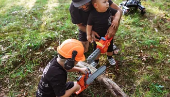 Tree Removal for Licensed to Cut Tree Service in Athens, PA