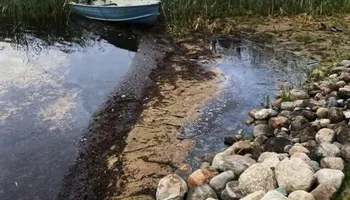 Beach Cleaning Services for JT’s Underwater Landscaping in Brainerd, MN
