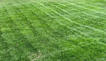 Soil Tests for Earth First Turf, LLC in Cherokee County, GA