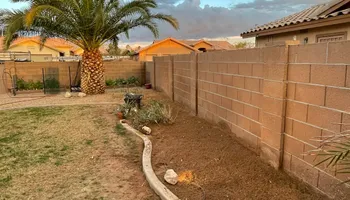 Fall and Spring Clean Up for Oliver L. Palm & Tree services in Yuma, AZ