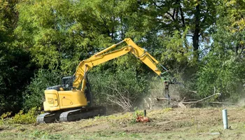 Tree Removal for Parsell’s Property Services LLC in Southbury, CT