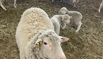 Plumbing Remodels for Mr. Pipe Dreams LLC in Colorado Springs, CO