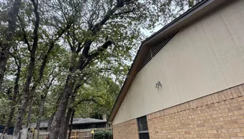Tree Removal for Year Round Trees & Concrete Inc. in Fort Worth, TX