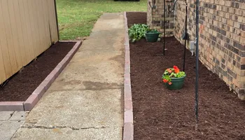 Tree Removal for Optimum Tree Service And Landscaping in Bowling Green, KY