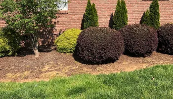 Mowing for Grandview Lawn Care in Norwood, NC