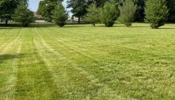 Tree Trimming for Wright Lawn Services in Ozark, MO