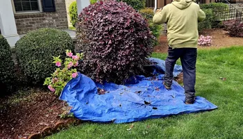 Lawn Maintenance for Surprising Odyssey in Gibsonville, NC