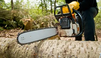 Tree Removal for Canopy Tree Service in Kenosha, WI
