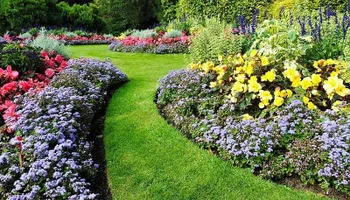 Lawn Clean Up for Healthy Roots Landscaping in Apex, NC