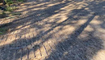 Land Clearing & Demolition for Dukes Clearing and Construction LLC  in Augusta, GA