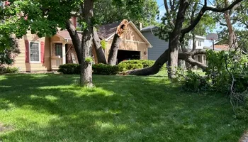 Tree Removal for Allstate Tree Service and Crane in Spring Lake Park, MN
