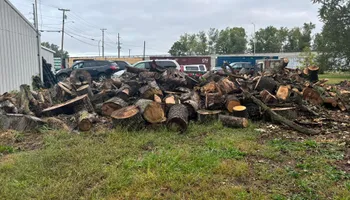 Tree Removal for General State Property Maintenance in New Haven, IN