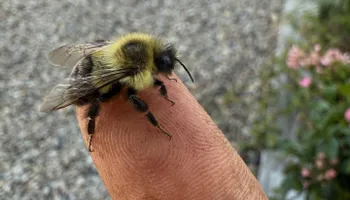 Custom Outdoor Living Spaces for RI Outdoor Living  in Charlestown, Rhode Island