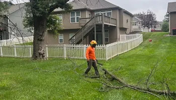 Tree Removal for Cross Family Tree Service in Kearney, MO