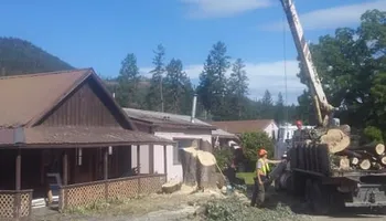 Tree Removal for Ekstedt Tree Services in Troy, MT