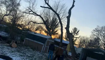 Tree Removal for Ramirez Tree Care in Pontiac, Michigan