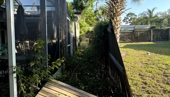 Tree Removal for Elevation Tree Service in Holiday, FL