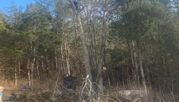 Tree Removal for VA Landgrowth LLC in Lexington, VA