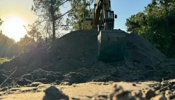 Tree Removal for Global Tree Specialist in Huffman, TX