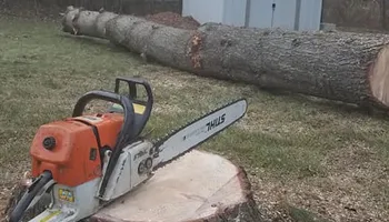 Tree Trimming & Removal for Freedom Outdoor Services in Glen Mills, PA