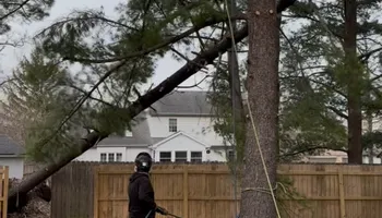 Tree Removal for Summit Tree Care LLC in Fort Wayne, IN