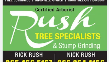 Tree Removal for Rush Tree Specialist in Knoxville, TN