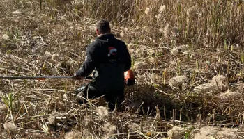 Mowing for Silburn Lawn & Landscape in Odenton, MD