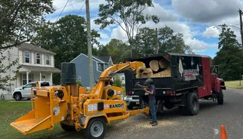 Tree Removal for Hingewood Tree Service in Salem, NJ