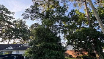 Tree Removal for Ayla Tree Service in Guyton, GA