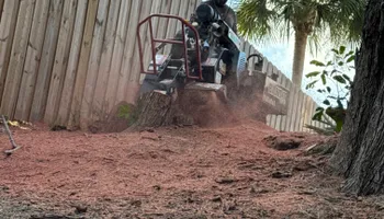 Tree Removal for Lemon Bay Tree Service  in Englewood, FL