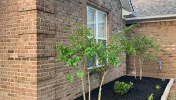 Mowing for Greenscape Solutions in Milan, TN