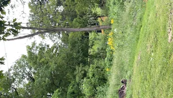 Hardscaping for Chapmans Lawncare and Landscaping in Connersville, IN