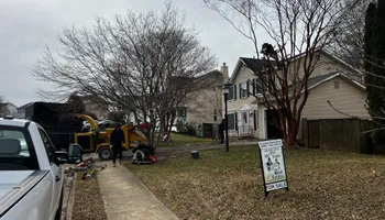 Tree Trimming for DIAZ TREE in Stafford, VA