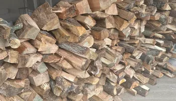 Tree Removal for Oakhurst Landscaping and Tree Service in Charlotte, NC