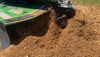 Tree Removal for Etherton’s Tree Service in Quinton, NJ