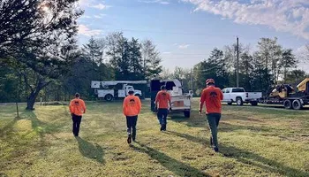 Tree Removal for Ross Family Tree Service LLC  in Hohenwald, TN