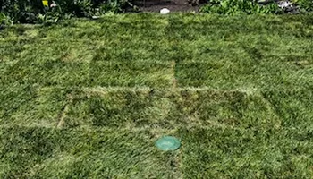 Landscaping for DG Stone & Landscaping Designs in DuPage County, Illinois
