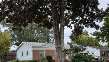 Tree Removal for Tucker's Tree Service and Stump Grinding in Lugoff, SC