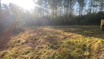 Land Clearing for South Mississippi Land Management LLC in Columbia, Mississippi