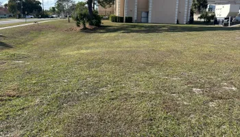 Fall Clean Up for Estrada All Pro Lawn Service in Auburndale, Florida